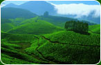 Kerala Travel Trips